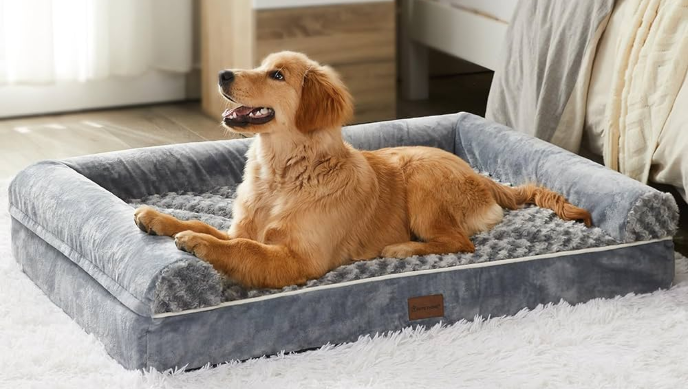 the-5-best-rated-dog-beds-for-ultimate-comfort.png